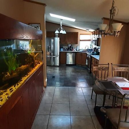 Private Pet Friendly Home Near Exotic Deer Farm Close To Pigeon Forge, Gatlinburg Tn Сев'єрвілл Екстер'єр фото