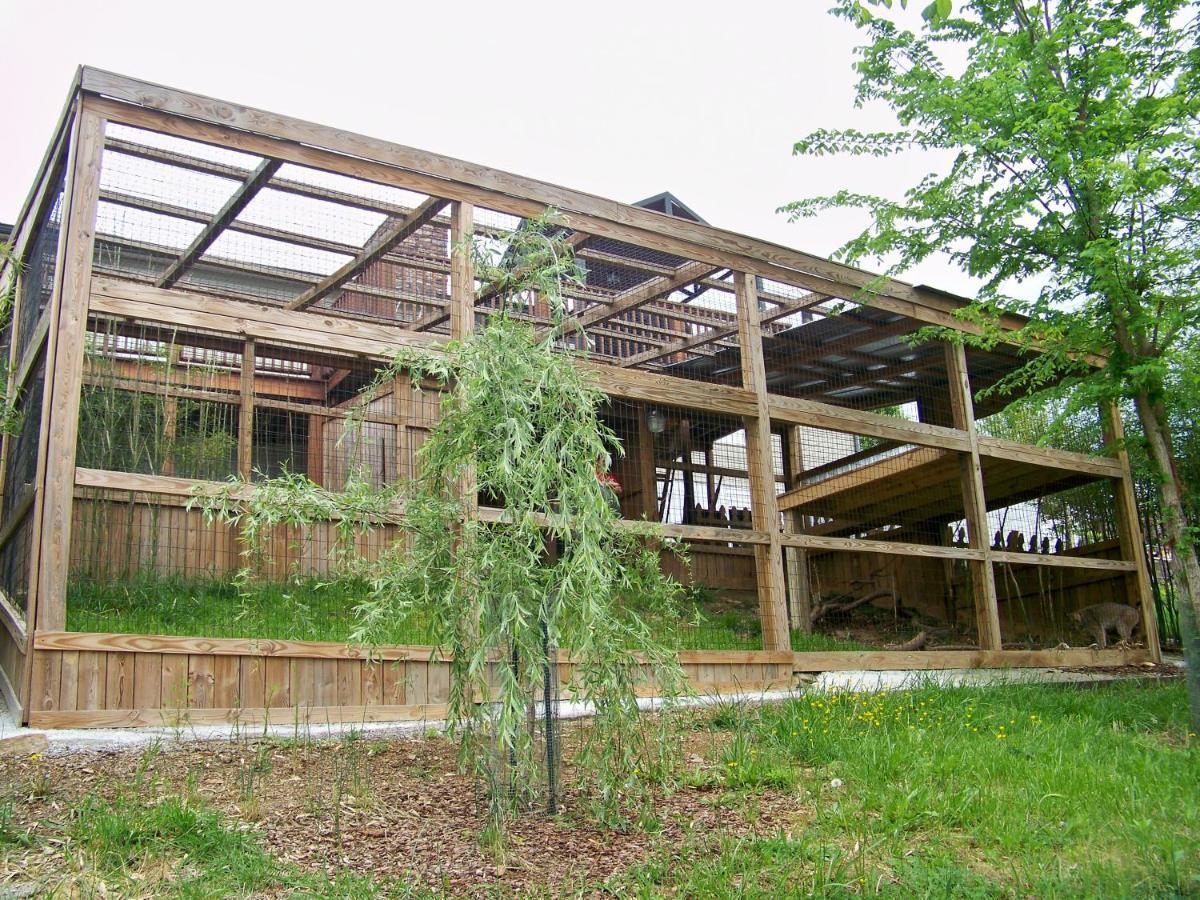 Private Pet Friendly Home Near Exotic Deer Farm Close To Pigeon Forge, Gatlinburg Tn Сев'єрвілл Екстер'єр фото