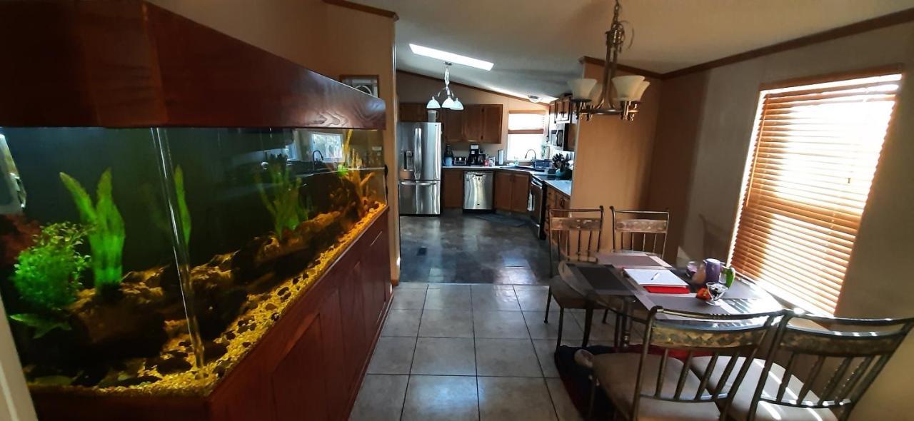 Private Pet Friendly Home Near Exotic Deer Farm Close To Pigeon Forge, Gatlinburg Tn Сев'єрвілл Екстер'єр фото